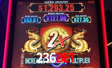 A Experiência Imersiva dos Cassinos Ao Vivo no 236bet